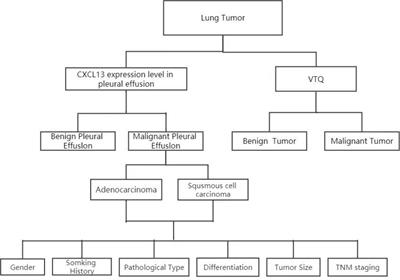 The synergized diagnostic value of VTQ with chemokine CXCL13 in lung tumors